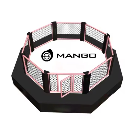 Indoor Boxing Ring