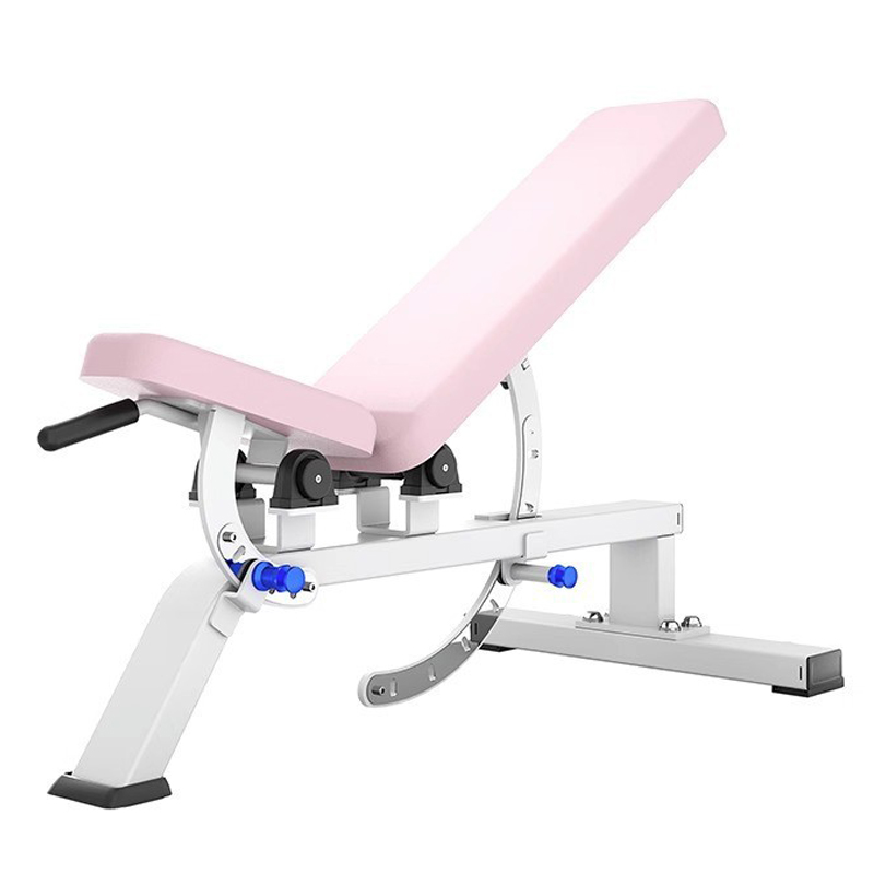 Dumbbell Bench Customizable