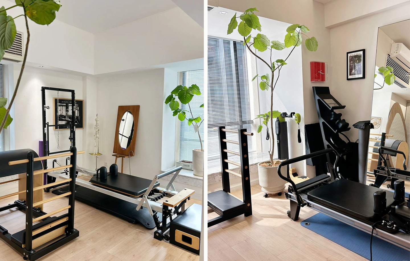 Premium Pilates Studio in Malaysia — Efficient Delivery by MANGO Fitness Equipment
