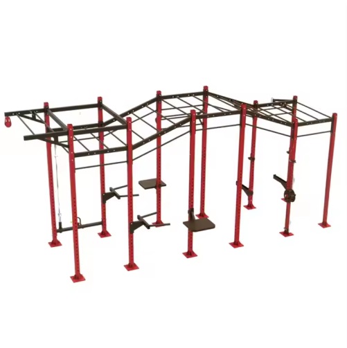 Wall Mounted Folding Squat Rack
